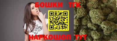 стаф Камышлов