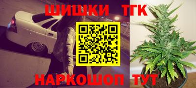 стаф Камышлов