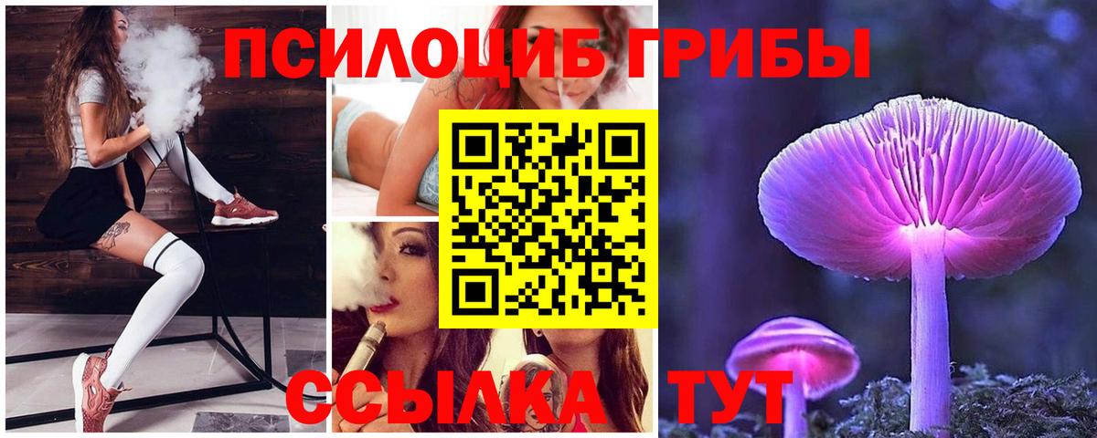 Псилоцибиновые грибы ЛСД Элиста
